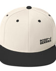 Sigma - snapback cap - natural - new era style - front view